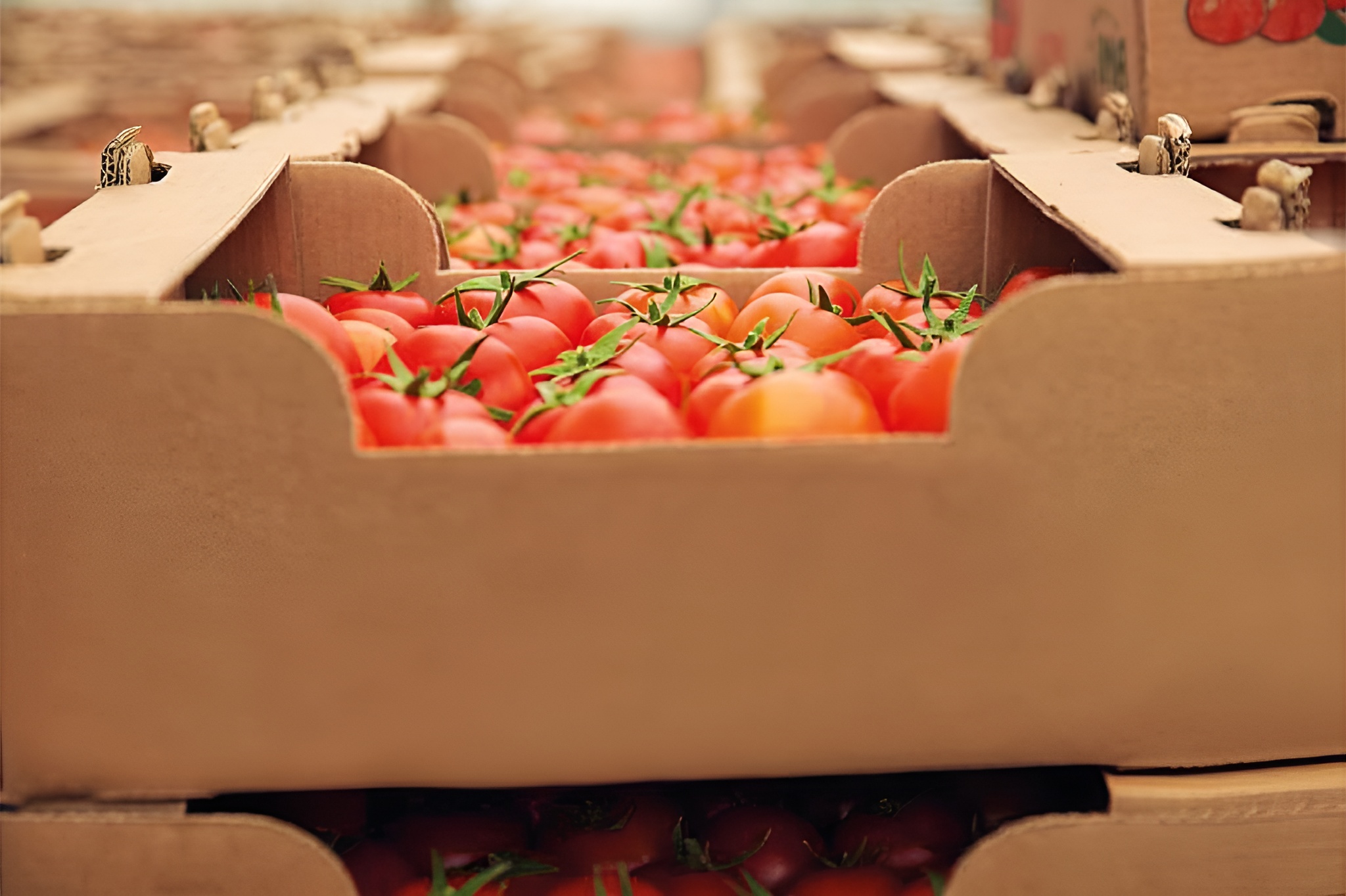 Agricultural Packaging